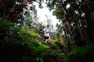 BIB: 
                            <button type="button" onclick="openModal(26201113)" class="btn btn-primary btn-sm float-right btn-popup" data-toggle="modal" data-target=".modal-high-quality">
                        <i class="fas fa-shopping-cart"></i> Add to Cart
                    </button>
                                            <button type="button" onclick="isThisMe(26201113, true)" class="btn btn-success btn-sm float-right btn-popup btn-isme hidden" data-toggle="tooltip" data-placement="bottom" title="นี่คือรูปของคุณใช่ไหม คลิกที่นี่เพื่อเอาเข้าอัลบั้ม">
                        <i class="fas fa-plus"></i> Add to album
                    </button>
                    <button type="button" onclick="isThisMe(26201113, false)" class="btn btn-warning btn-sm float-right btn-popup btn-isnotme hidden">
                        <i class="fas fa-ban"></i> Remove from album
                    </button>